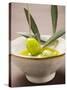 Pouring Olive Oil Over Olive Sprig with Green Olives-null-Stretched Canvas