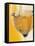 Pouring Prosecco into a Glass-Alexander Feig-Framed Stretched Canvas