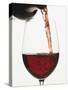 Pouring Red Wine into a Glass-null-Stretched Canvas