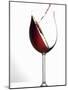 Pouring Red Wine into a Glass-Andreas Wegelin-Mounted Photographic Print