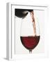 Pouring Red Wine into a Glass-null-Framed Photographic Print