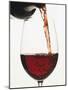 Pouring Red Wine into a Glass-null-Mounted Photographic Print