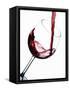 Pouring Red Wine into Wine Glass-Steve Lupton-Framed Stretched Canvas