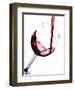 Pouring Red Wine into Wine Glass-Steve Lupton-Framed Premium Photographic Print