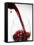 Pouring Red Wine-Joerg Lehmann-Framed Stretched Canvas