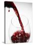 Pouring Red Wine-Joerg Lehmann-Stretched Canvas