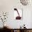 Pouring Red Wine-Joerg Lehmann-Photographic Print displayed on a wall