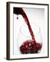 Pouring Red Wine-Joerg Lehmann-Framed Photographic Print