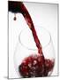 Pouring Red Wine-Joerg Lehmann-Mounted Photographic Print