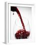 Pouring Red Wine-Joerg Lehmann-Framed Photographic Print