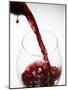 Pouring Red Wine-Joerg Lehmann-Mounted Photographic Print