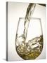 Pouring White Wine-Jean Gillis-Stretched Canvas