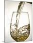 Pouring White Wine-Jean Gillis-Mounted Photographic Print