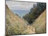 Pourville, 1882-Claude Monet-Mounted Premium Giclee Print