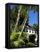 Pousada and Palms, Pousada Picinguaba, Costa Verde, South of Rio, Brazil, South America-Upperhall-Framed Stretched Canvas
