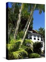 Pousada and Palms, Pousada Picinguaba, Costa Verde, South of Rio, Brazil, South America-Upperhall-Stretched Canvas