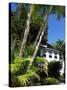 Pousada and Palms, Pousada Picinguaba, Costa Verde, South of Rio, Brazil, South America-Upperhall-Stretched Canvas