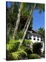 Pousada and Palms, Pousada Picinguaba, Costa Verde, South of Rio, Brazil, South America-Upperhall-Stretched Canvas