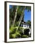 Pousada and Palms, Pousada Picinguaba, Costa Verde, South of Rio, Brazil, South America-Upperhall-Framed Photographic Print