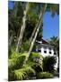 Pousada and Palms, Pousada Picinguaba, Costa Verde, South of Rio, Brazil, South America-Upperhall-Mounted Photographic Print