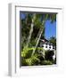 Pousada and Palms, Pousada Picinguaba, Costa Verde, South of Rio, Brazil, South America-Upperhall-Framed Premium Photographic Print