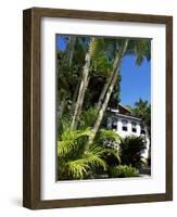 Pousada and Palms, Pousada Picinguaba, Costa Verde, South of Rio, Brazil, South America-Upperhall-Framed Photographic Print