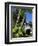 Pousada and Palms, Pousada Picinguaba, Costa Verde, South of Rio, Brazil, South America-Upperhall-Framed Photographic Print