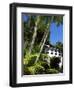 Pousada and Palms, Pousada Picinguaba, Costa Verde, South of Rio, Brazil, South America-Upperhall-Framed Photographic Print