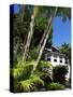 Pousada and Palms, Pousada Picinguaba, Costa Verde, South of Rio, Brazil, South America-Upperhall-Stretched Canvas