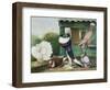 Pouter Pigeons-James E. Bourhill-Framed Giclee Print