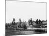 POW Camp, Eastcote, Middlesex-Robert Hunt-Mounted Photographic Print