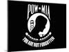 Pow-Mia Flag-Stocktrek Images-Mounted Photographic Print