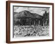 Brown Frame