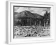 White Frame