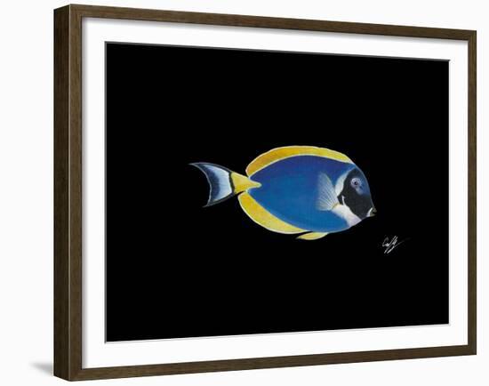 Powder Blue Tang-Durwood Coffey-Framed Giclee Print