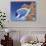 Powder Blue Tang-Durwood Coffey-Giclee Print displayed on a wall