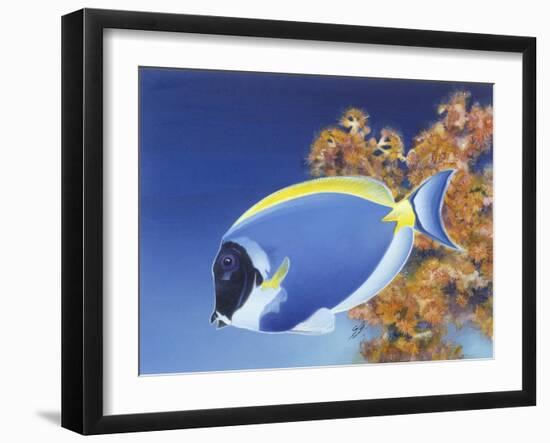 Powder Blue Tang-Durwood Coffey-Framed Giclee Print