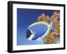 Powder Blue Tang-Durwood Coffey-Framed Giclee Print