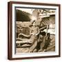 Brown Frame