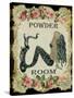 Powder Room Mermaid with Vintage Roses-sylvia pimental-Stretched Canvas