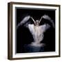 Powder Rush-Pauline Pentony Ba-Framed Photographic Print