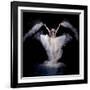 Powder Rush-Pauline Pentony Ba-Framed Photographic Print