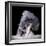 Powder-Pauline Pentony Ba-Framed Photographic Print