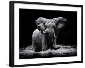 Power 1-Gorazd Golob-Framed Photographic Print