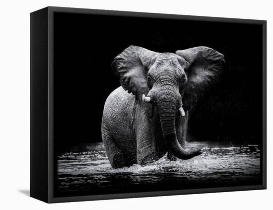 Power 1-Gorazd Golob-Framed Stretched Canvas