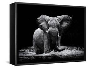 Power 1-Gorazd Golob-Framed Stretched Canvas