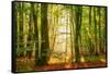 Power Beam-Lars Van de Goor-Framed Stretched Canvas