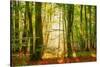 Power Beam-Lars Van de Goor-Stretched Canvas