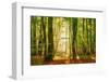 Power Beam-Lars Van de Goor-Framed Photographic Print