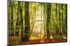 Power Beam-Lars Van de Goor-Mounted Photographic Print